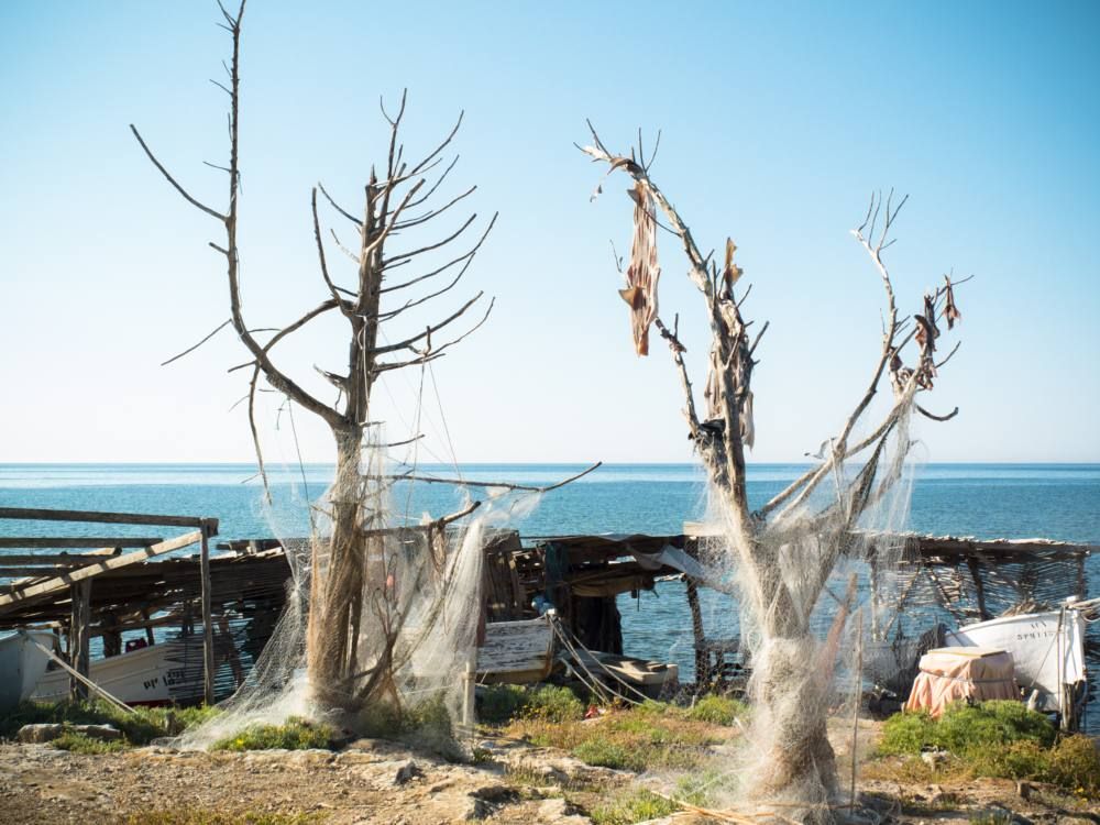 64e7ef7b-ee8c-4645-bbac-ecca9ddb773e.c10